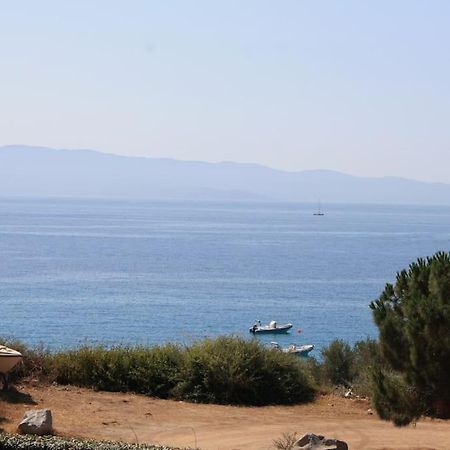 F2 Vue Mer Dans Residence Avec Piscine Ajaccio  Exterior foto