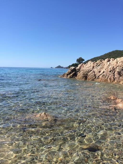 F2 Vue Mer Dans Residence Avec Piscine Ajaccio  Exterior foto