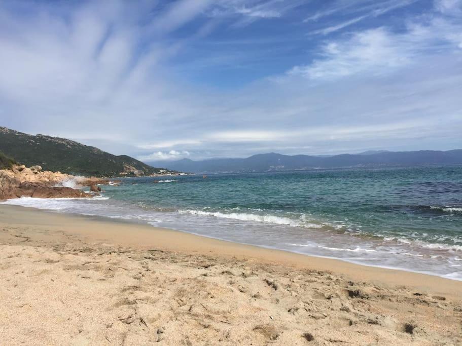 F2 Vue Mer Dans Residence Avec Piscine Ajaccio  Exterior foto