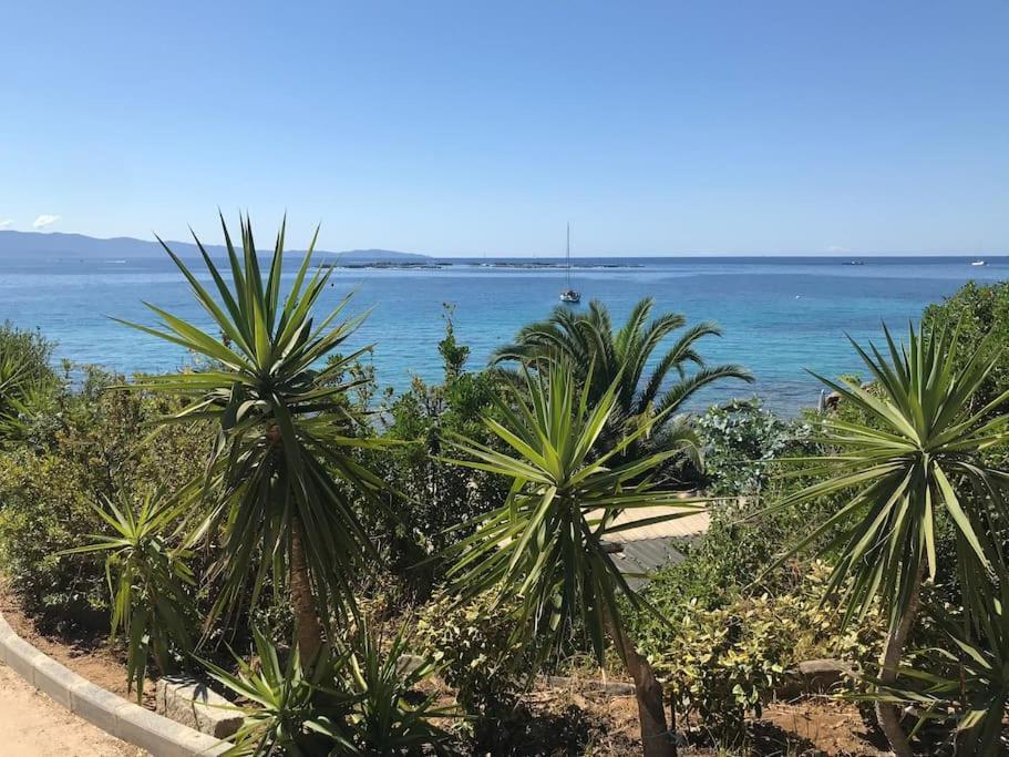 F2 Vue Mer Dans Residence Avec Piscine Ajaccio  Exterior foto