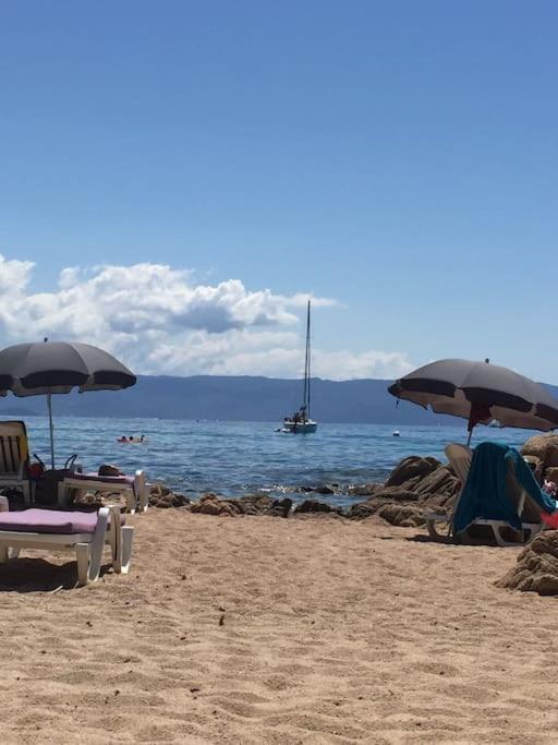 F2 Vue Mer Dans Residence Avec Piscine Ajaccio  Exterior foto